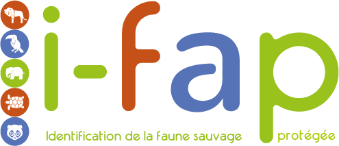 i-fap